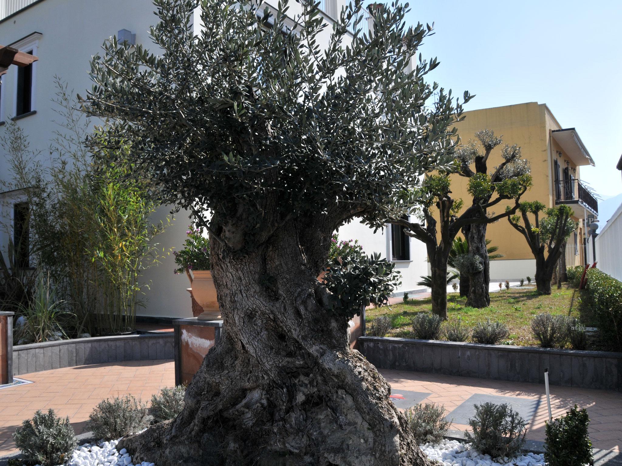Costa Hotel Pompei Esterno foto